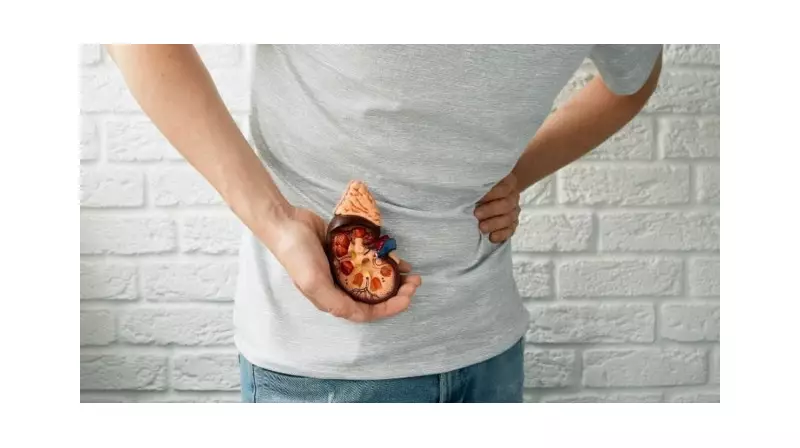 Böbrek Taşı Belirtileri: Sinsi Düşmanınızı Tanıyın! Tedavi Yöntemleri ve Risk Grubundakiler