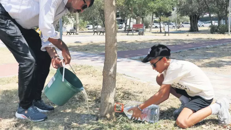 Belediyenin Ağaç Katliamına Yargı Eli: 'Kesilen Her Dal İçin Hesap Sorulacak!'