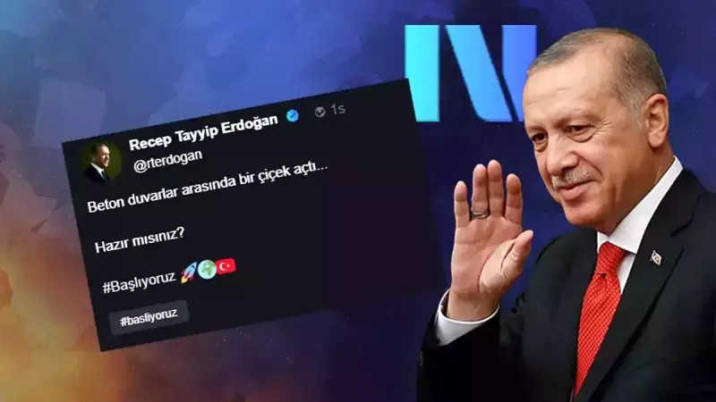 Beton Yığınlarının Arasında Bir Mucize: Küçük Çiçek, Büyük Umut