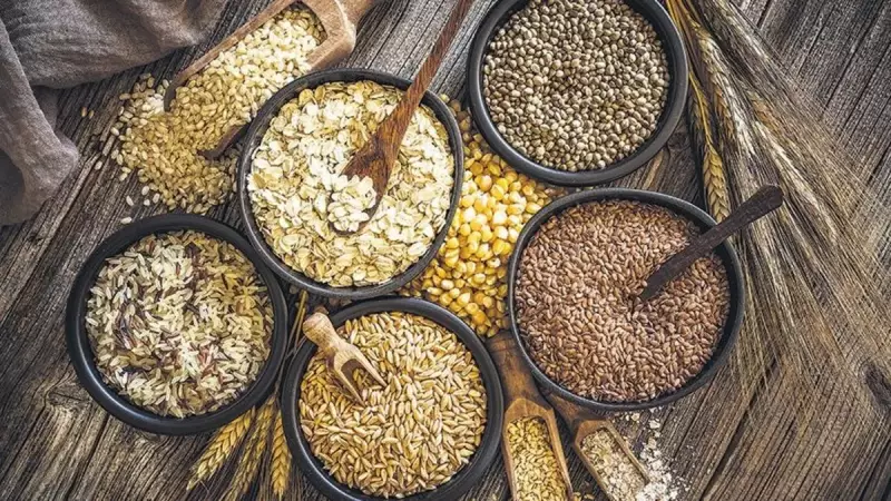 Bilim Dünyası Şaşkın! Yoğurt ve Tam Tahıllı Ekmekle Yürüyüşün Sırrı Çözüldü