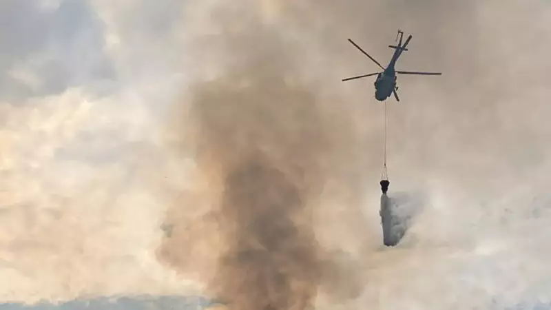 Bilim İnsanları Orman Yangınlarına Karşı Dev Rapor Hazırladı: İşte Kritik Öneriler!