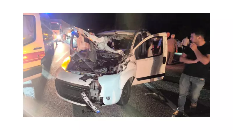 Bingöl'de Feci Kaza: Hafif Ticari Araç Ağaca Çarptı, 1 Kişi Hayatını Kaybetti