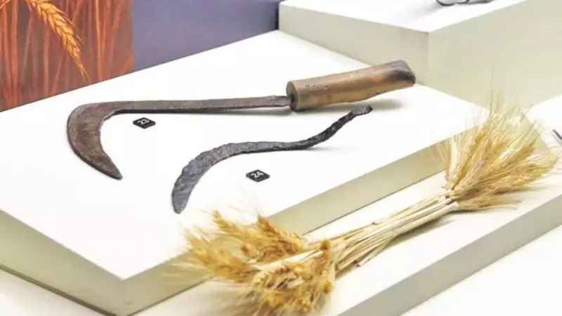 Binlerce Yıllık Tarihe Yolculuk: 'Orağın Serüveni' Sergisiyle Zamanda Yolculuk!