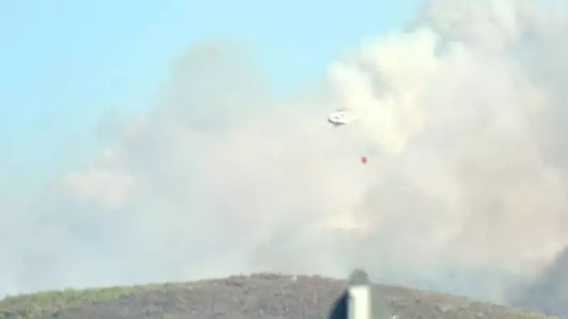 Bodrum'da Çıkan Yangında 3 Kişi Tutuklandı: İşte Detaylar!