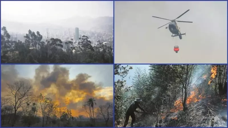 Bolivya'da Ormanlar Alev Alev! Dev Yangınlar Ülkeyi Tehdit Ediyor