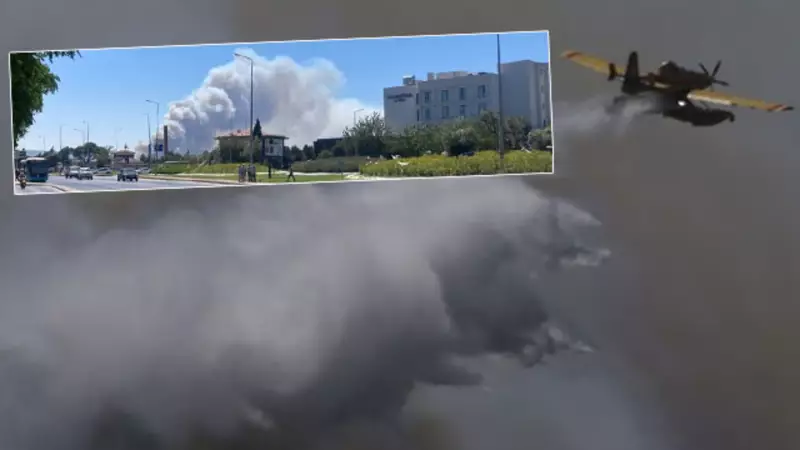 Bolu ve Çanakkale'de Orman Yangınları: Son Dakika Gelişmeleri ve Müdahale Detayları