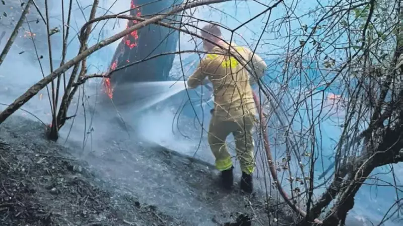 Bolu'da Ciğerleri Yakan Felaket: 20 Hektar Orman Kül Oldu!