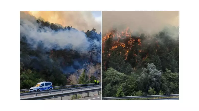 Bolu'da Orman Yangını Alarmı! Alevlere Havadan ve Karadan Yoğun Müdahale