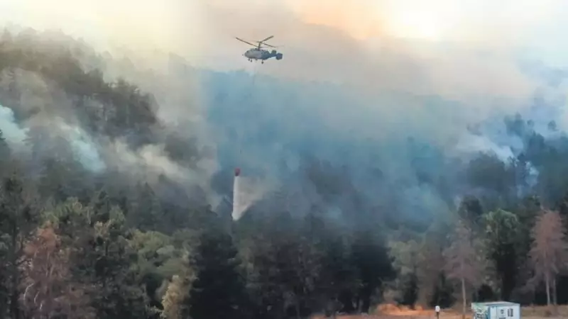 Bolu'da Orman Yangını: Alevler Gökyüzünü Kızıla Boyadı!