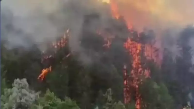 Bolu'nun Ciğerini Yakan Yangın: Mengen Ormanları Alev Alev! Ekipler Gece Gündüz Demeden Mücadele Ediyor