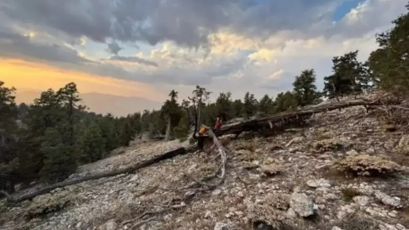 Burdur'da Yıldırımın Vurduğu Alevler: Doğanın Gücüne Şahitlik Eden Anlar!