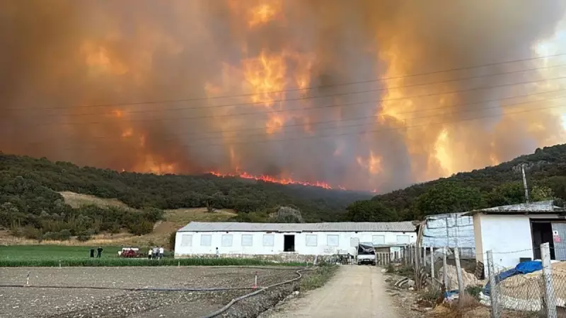 Bursa'da Orman Yangını Alarmı: Alevler Yerleşim Yerlerine Sıçrama Tehlikesi!