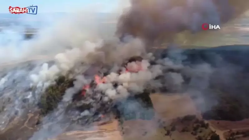 Bursa'da Orman Yangını: Dumanlar Gökyüzünü Kapladı, İtfaiye Seferber Oldu!