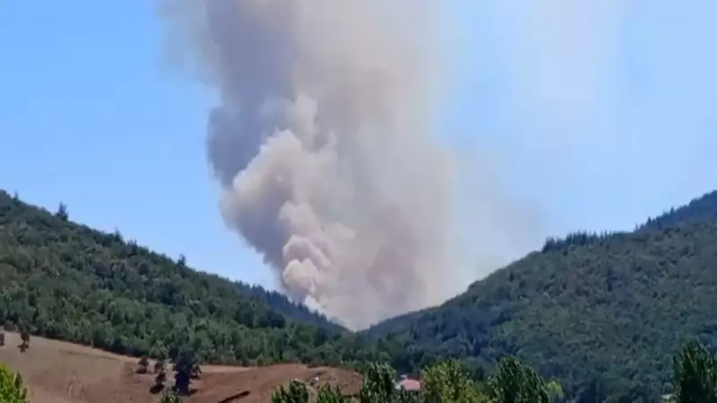 Bursa'da Orman Yangını: Ekipler Gece Boyunca Mücadele Etti, İşte Son Durum!