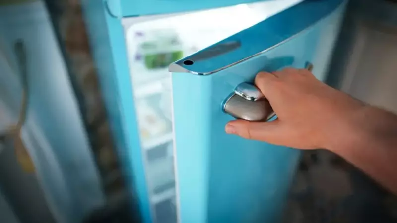 Buzdolabındaki O İnatçı Kokuya Son! Yiyeceklerinize Sinmiş Buzluk Kokusunu Yok Etmenin 5 Etkili Yolu