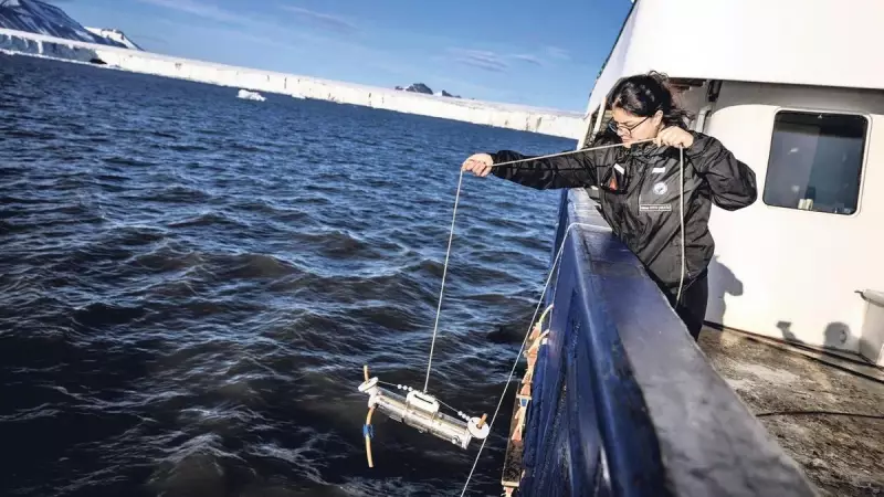 Buzulların Sırlarını Çözen Türk Bilim İnsanlarından Çığır Açan Keşif!