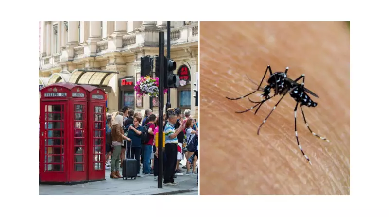 Chikungunya Virüsü Alarmı: İngiltere'de Sivrisinek Kaynaklı Hastalık Patlaması!