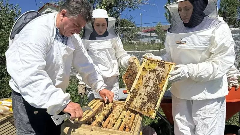 Coğrafi İşaretli Balın Hasadı Başladı: Kilosu 1500 TL'den Alıcı Buluyor!
