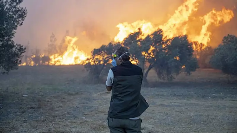 Cumhurbaşkanı Yardımcısı Yılmaz'dan Orman Yangınlarına Karşı Kritik Açıklama: 'Topyekûn Mücadele Şart'