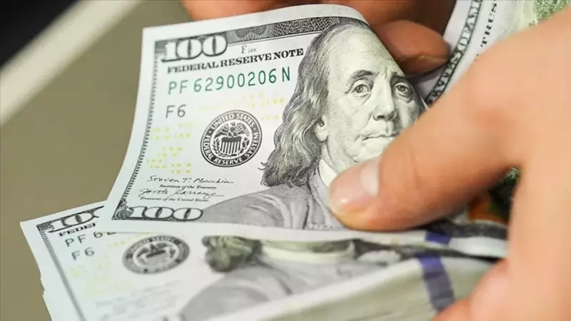 Ödemeler Dengesi Anketi Şaşırtıcı Sonuçlar Verdi: İşte Uzmanların Beklentileri ve Gerçekleşenler