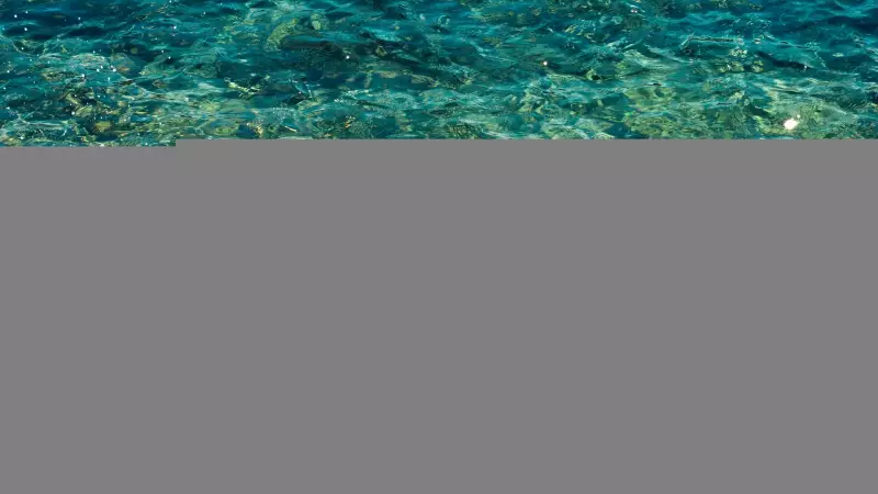 Deniz ve Havuz Keyfiniz Kabusa Dönüşmesin: Kirli Su Tehlikesine Dikkat!