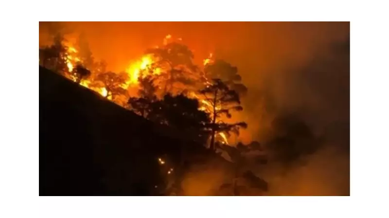 Denizli ve Aydın'ı Tehdit Eden Orman Yangını Sonunda Kontrol Altında! İşte Mücadele Detayları