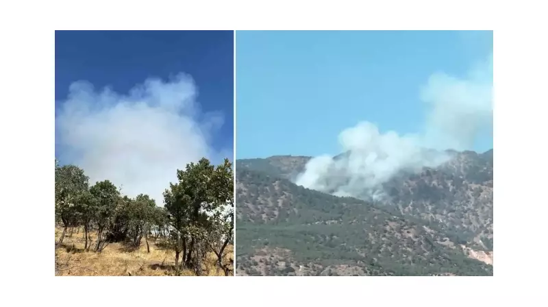 Denizli'de Orman Yangını: Alevler Gökyüzünü Kızıla Boyadı!