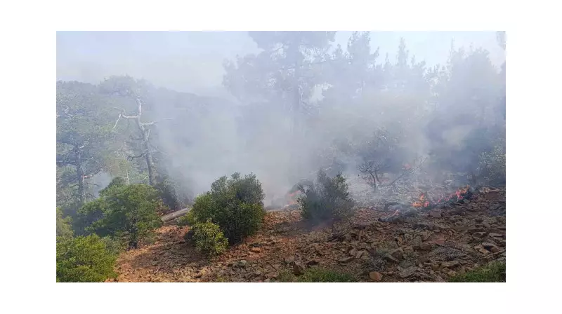 Denizli'de Yıldırım Düşmesi Orman Yangınına Yol Açtı: İşte Yaşananlar!