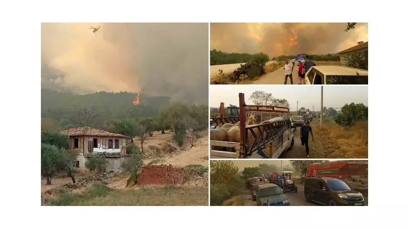 Denizli'den Aydın'a Sıçrayan Orman Yangınında 4. Gün: Köyler Boşaltılıyor!