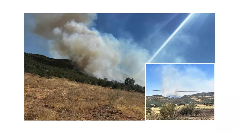Diyarbakır'da 3 Farklı Noktada Çıkan Yangınlar: İtfaiye Seferber Oldu!