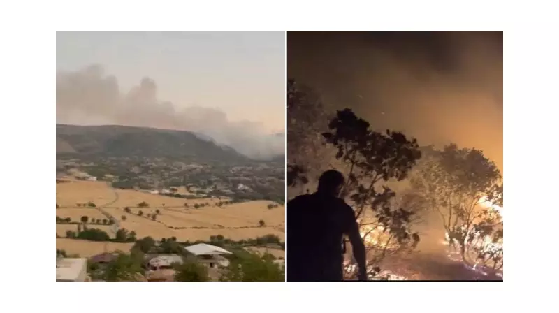 Diyarbakır'da Çıkan Orman Yangını, Ekiplerin Yoğun Mücadelesi Sonucu Kontrol Altına Alındı!