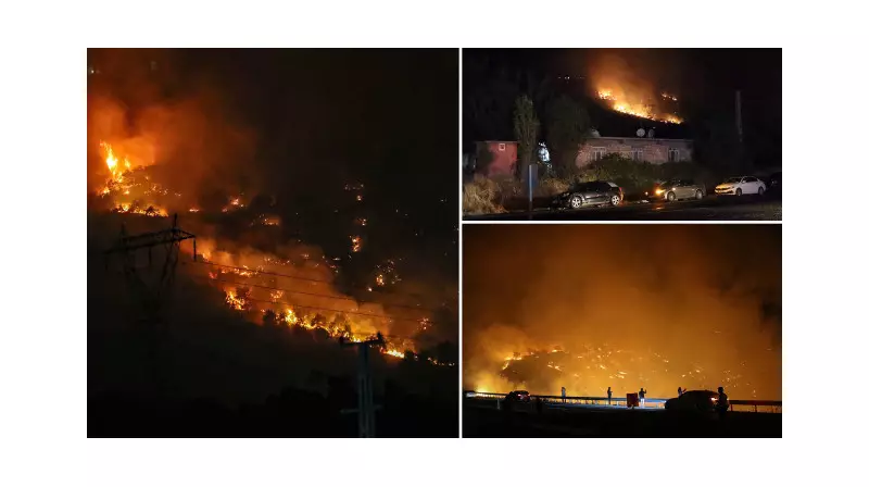 Diyarbakır'ın Üç İlçesinde Alevlerle Boğuşan Ekipler: Orman Yangınına Karşı Destansı Mücadele