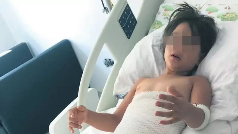 Düğün Eğlencesi Korku Filmi Gibi Bitti! Silahlar Konuştu, Yaralılar Var