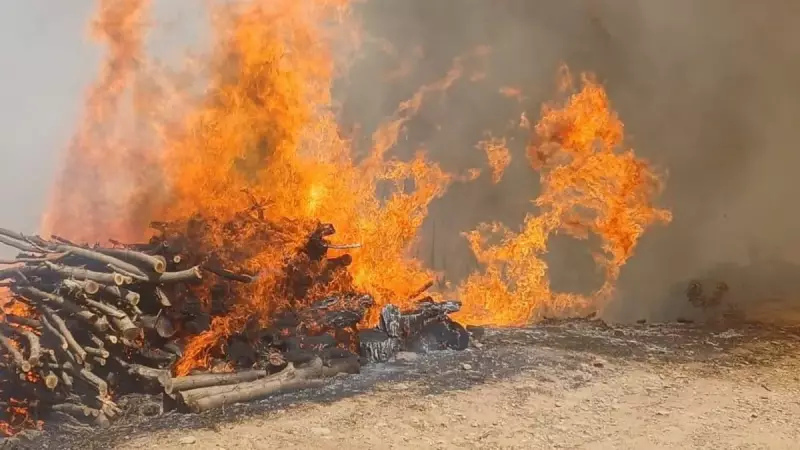 Doğanyurt'ta Orman Yangını: Alevler Yeniden Hortladı!