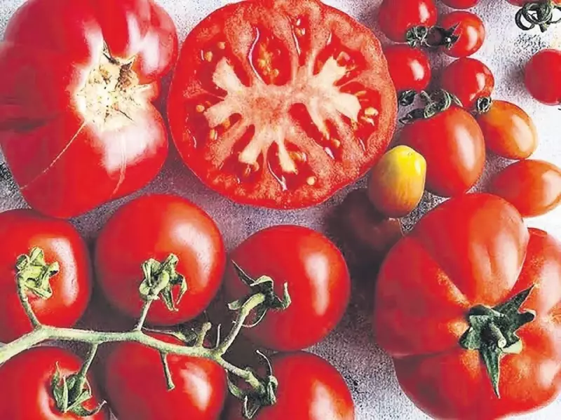 Domatesin Sırrı: Kırmızı Çekirdeklerin Şaşırtıcı Faydaları!