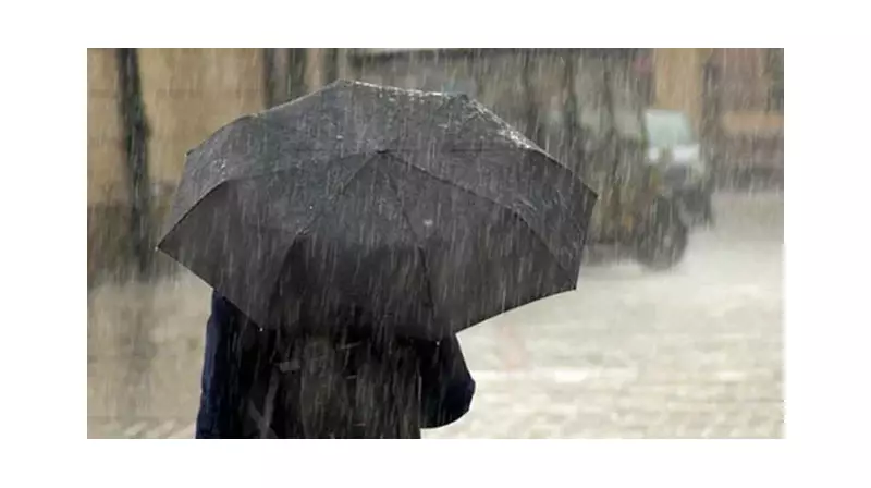 Doğu Karadeniz'de Gök Gürültülü Sağanak Alarmı: Meteoroloji Uyardı!