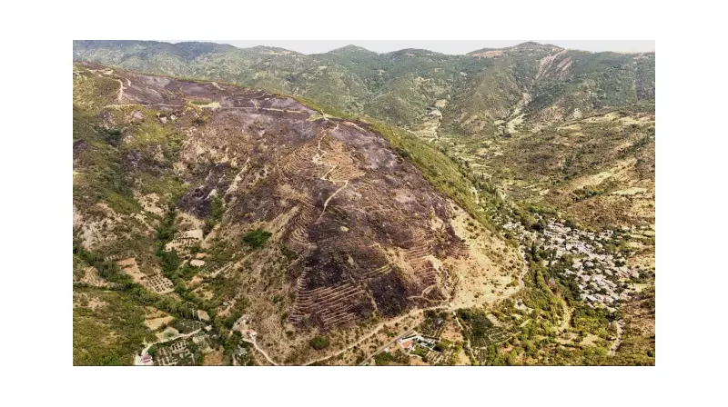 Dumanlar İçinde Kalan Ormanlar: Uçakla Çekilen Çarpıcı Görüntüler!