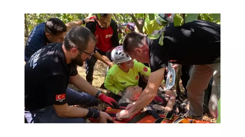 Düzce'de Kayıp Yaşlı Kadın İki Gün Sonra Sağ Salim Bulundu! Umut Dolu Son