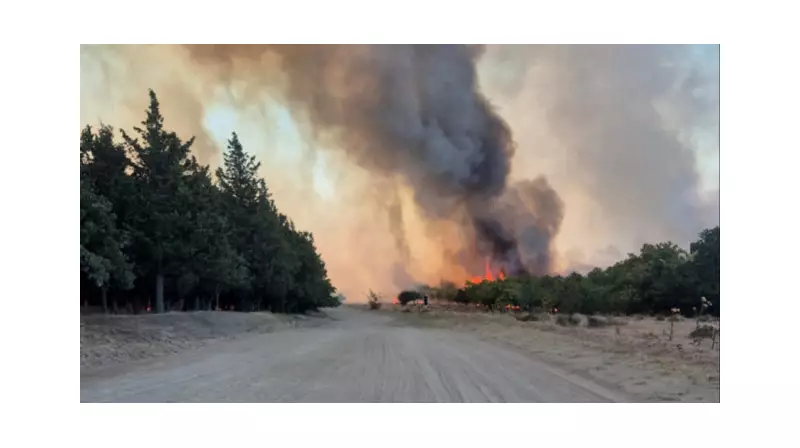 Edirne'nin Enez İlçesinde Çıkan Orman Yangını Korku ve Endişe Yarattı!