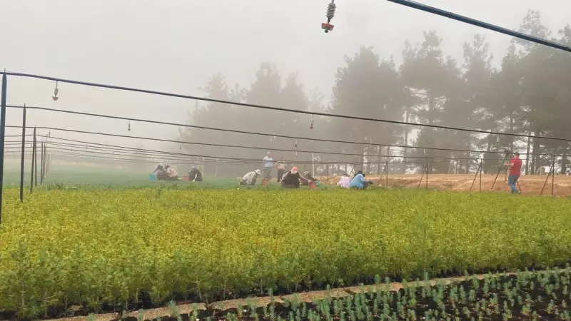 Şehit Oğlunun Anısını Yeşil Vatanla Yaşatıyor: Bir Baba'nın Hüzünlü ve Umut Dolu Mücadelesi