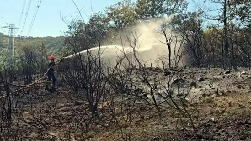 Çekmeköy'de Orman Yangını: Büyük Felaketin Eşiğinden Dönüldü!