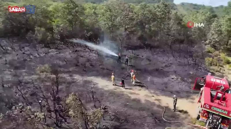 Çekmeköy'deki Orman Yangınında Kritik Müdahale: Alevler Kontrol Altında!