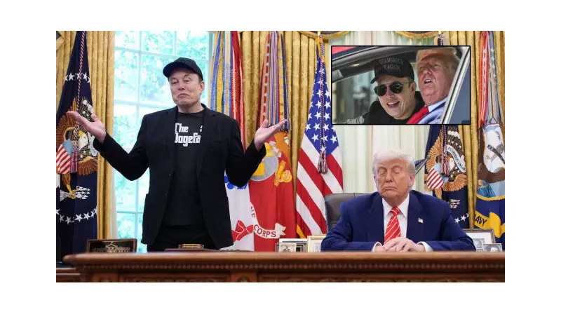 Elon Musk'ın Türkiye'de Parti Kurma Hayali Neden Suya Düştü?