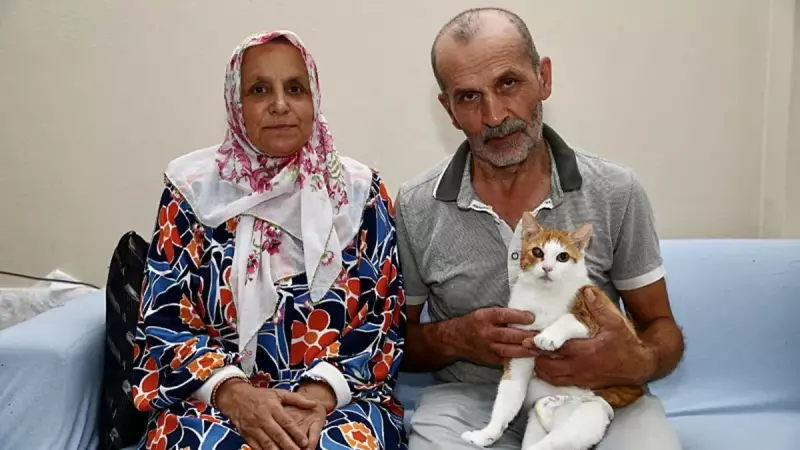 Engelli Kedilere 20 Yıldır Umut Olan Kahraman: Mama ve Suyu Hiç Eksik Etmiyor!