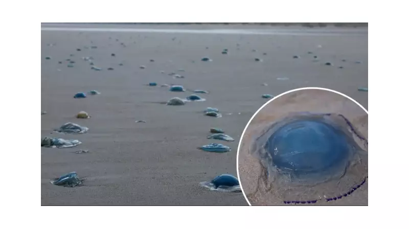 Fransa'da Nükleer Alarm! 4 Reaktör Aniden Kapatıldı – Enerji Krizi Kapıda mı?