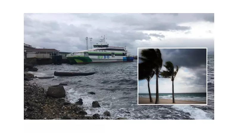 Fırtına Vurdu: BUDO'nun 4 Seferi İptal Oldu! Deniz Ulaşımı Altüst
