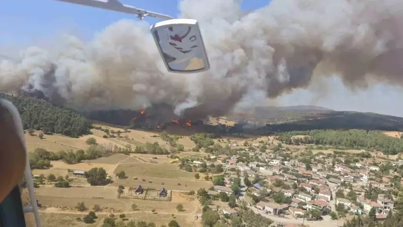 Gelibolu'da Orman Yangını: 126 Kişi Tahliye Edildi, Rüzgar Alevlerin Peşinde!