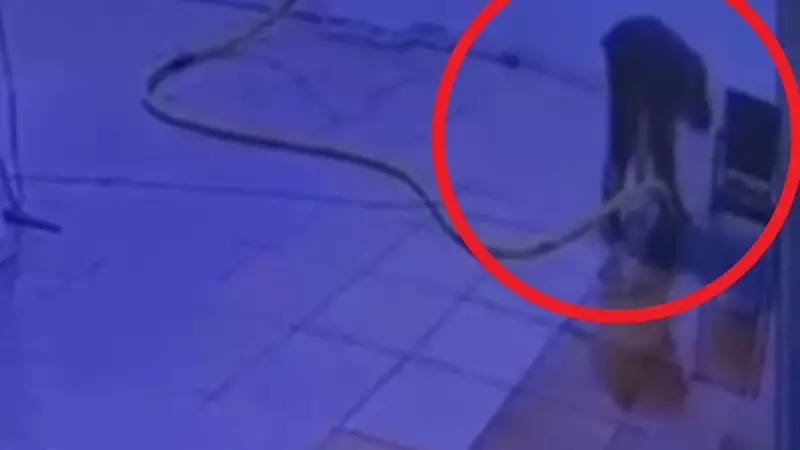 Genç Adamın Akıntıya Kapılmasıyla Yaşanan Dehşet Dolu Anlar! İşte O Görüntüler