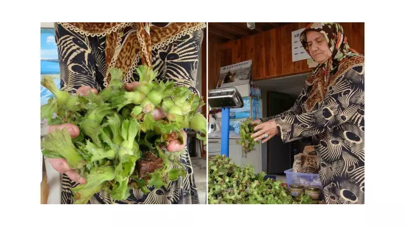 Giresun Findığı Fiyatları Şaşırttı: Üreticiler 300 Liradan Satışa Başladı!