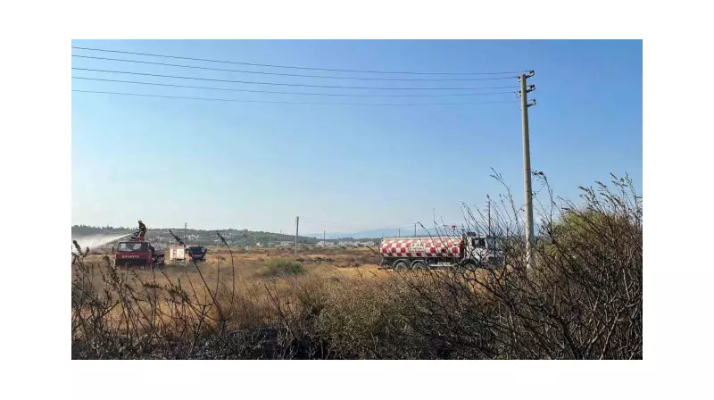 Gömeç'te Çıkan Yangın Kontrol Altına Alındı: İşte Detaylar!